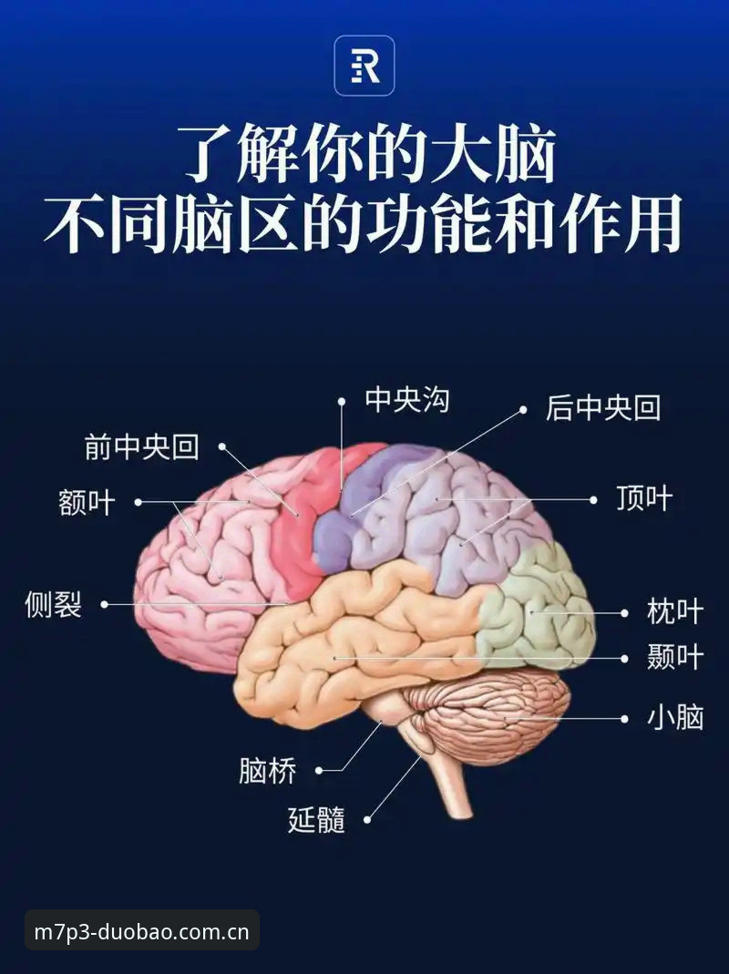 多宝体育平台官网必备的三大核心功能，你真的了解吗？
